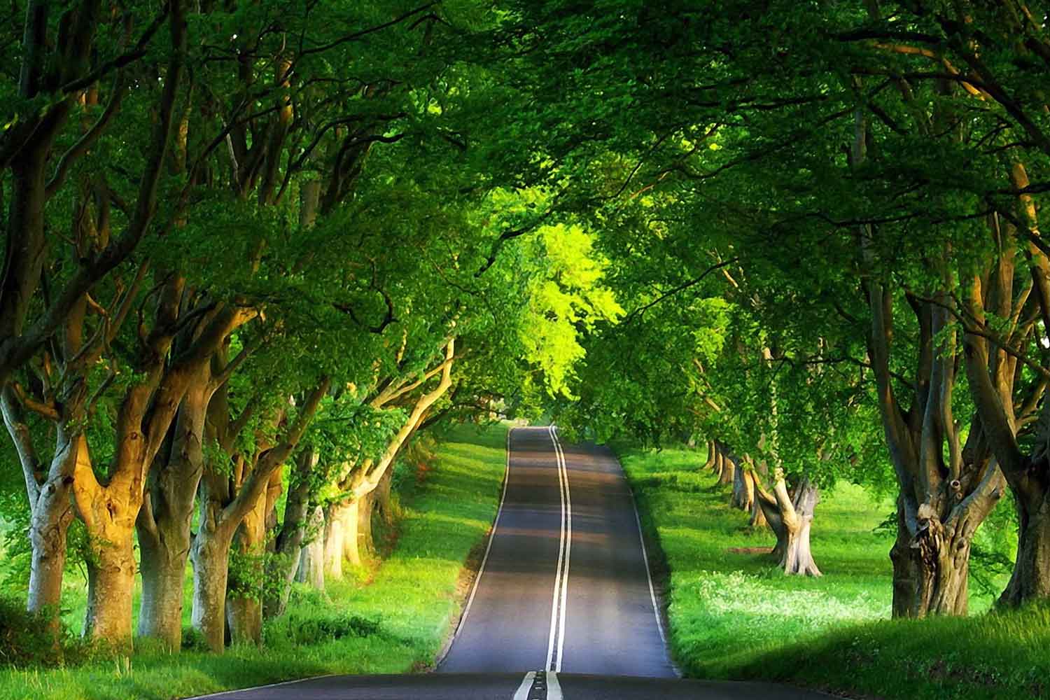 Endless Path-CP111.jpg